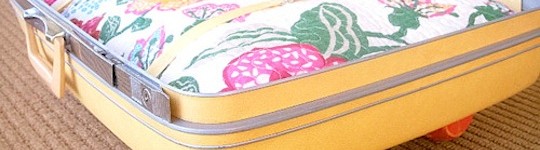 Luggage Pet Bed