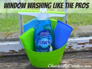 Pro WIndow Washing