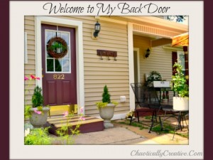 Welcome to my back door