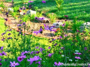 landscaping_bank