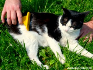 Zippy Furminator3