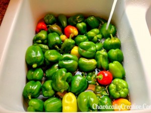 Peppers_Wash