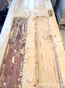 Stripping door