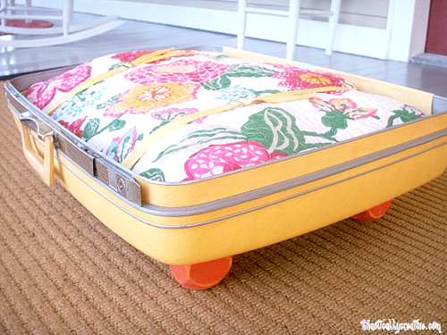 Luggage Pet Beds