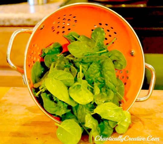 Spinach_from_the_home_garden