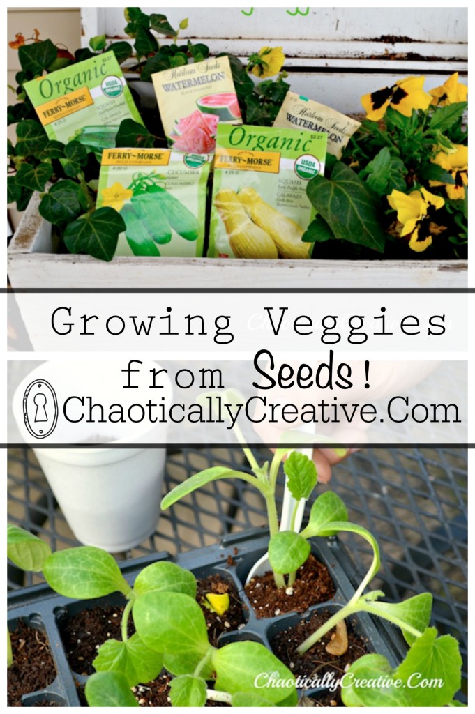 growing veggies from seeds