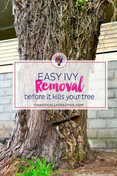 Easy Ivy Removal Tutuorial
