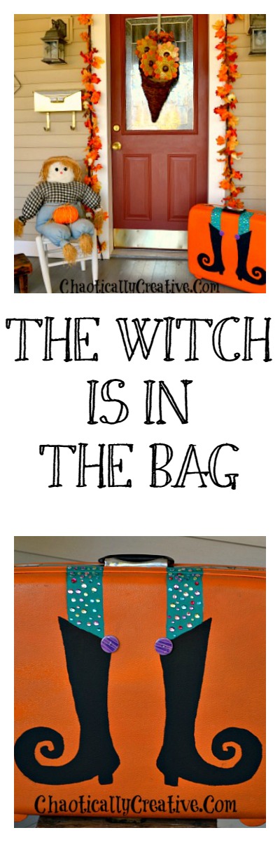 Witch In Bag