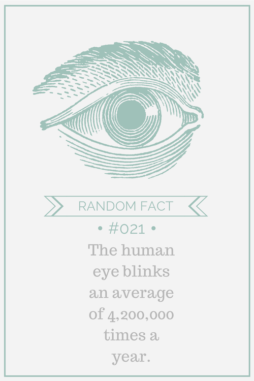 The human eye blinks an average of