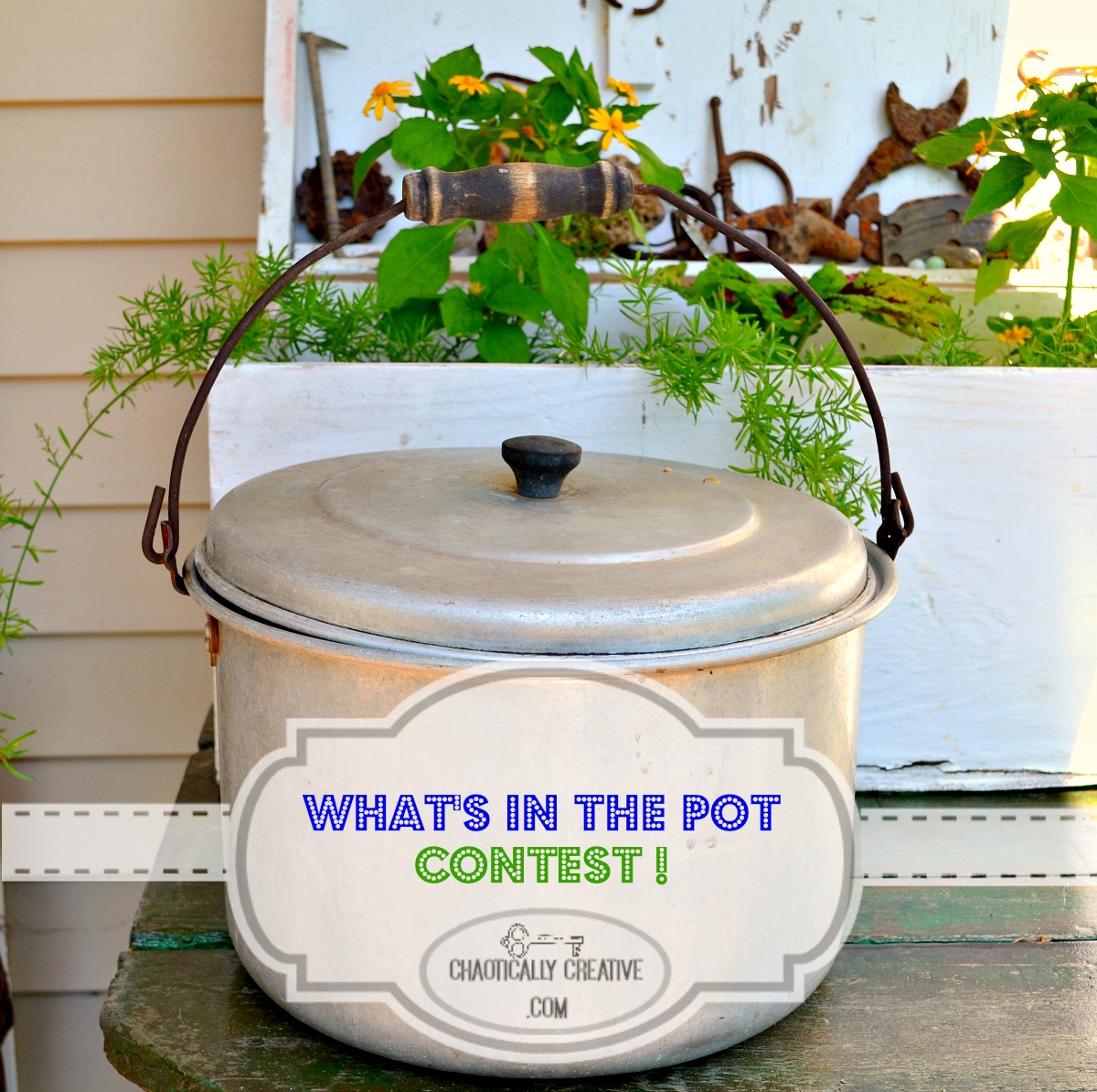 What's In The Pot Contest