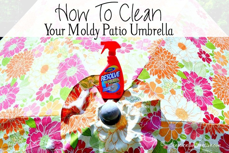 how to clean a moldy patio umbrella