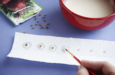 how-to-make-your-own-seedtape-inset_01