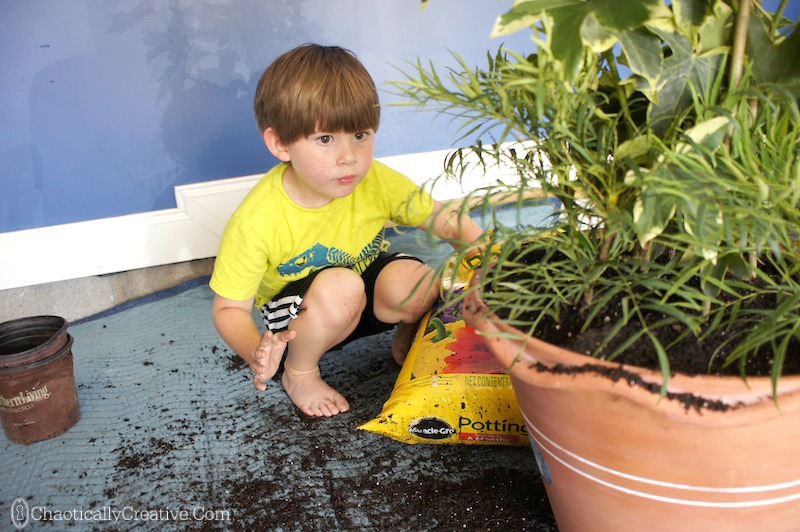 Child Container Gardening