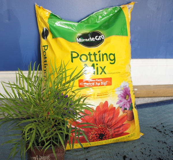 Best potting soil for container gardens.