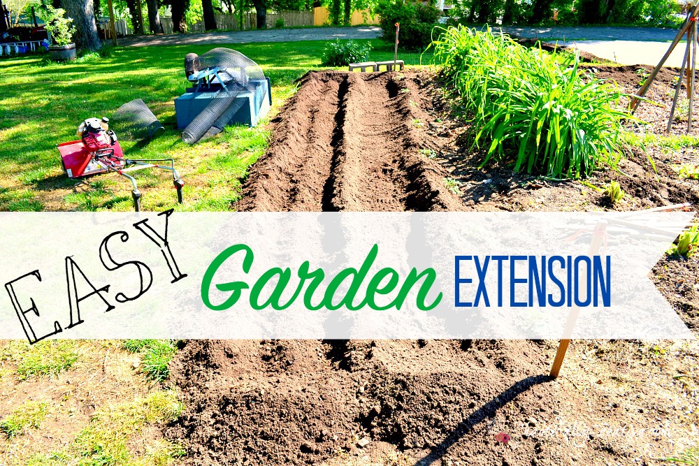 Garden-expansion-dug.jpg