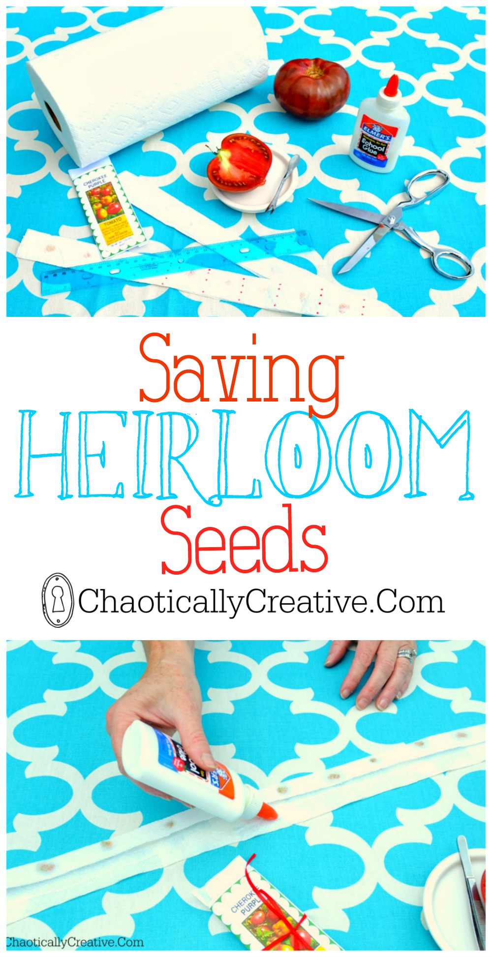 Step by Step How to Save Heirloom Seeds.jpg
