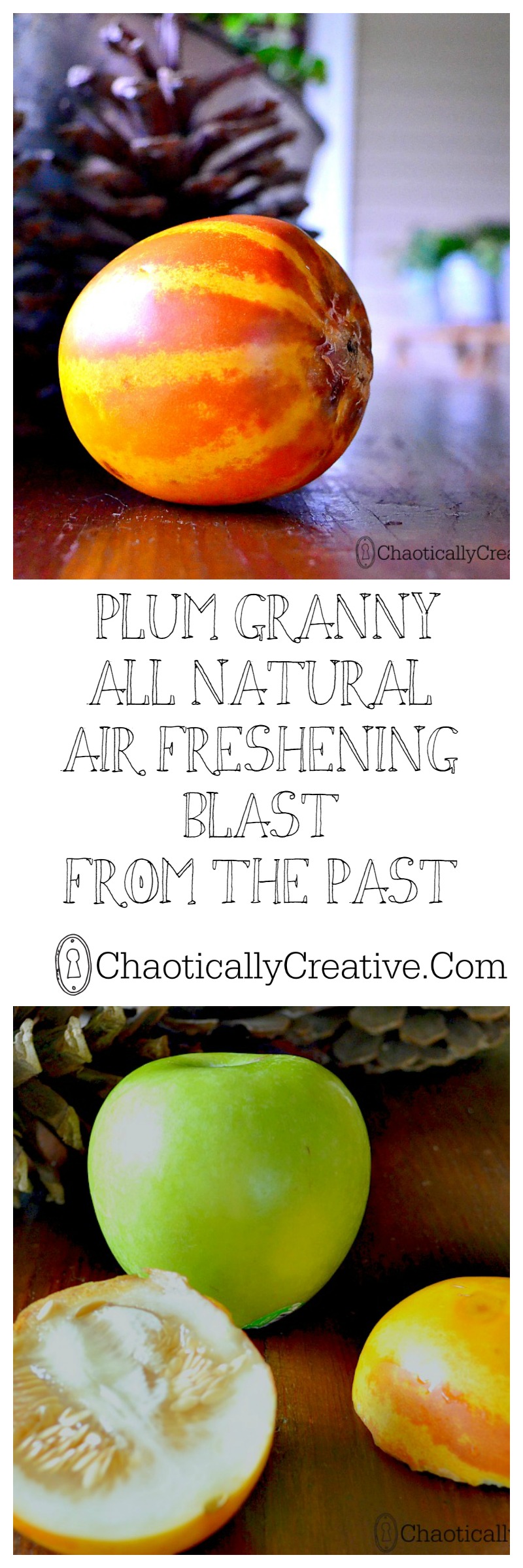 plum granny collage