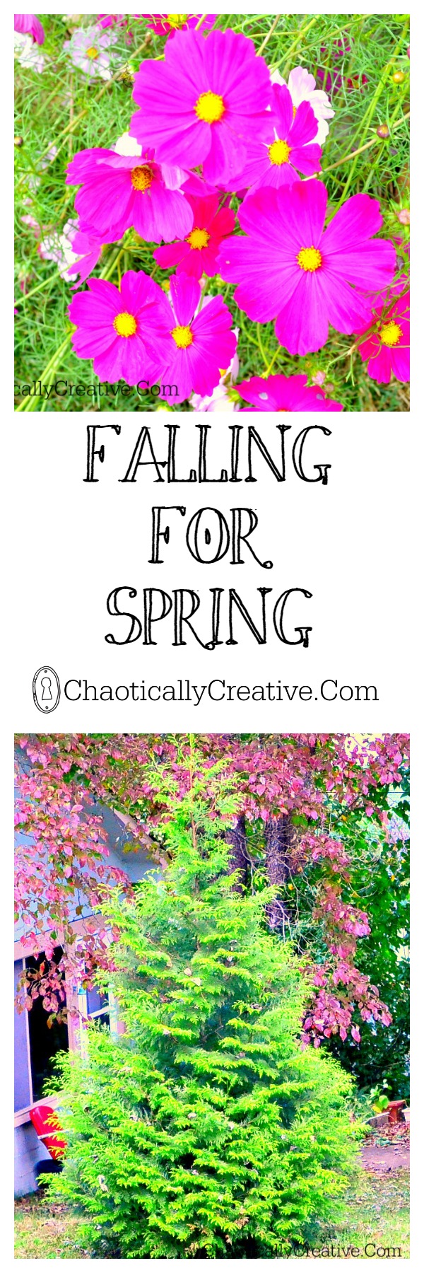 Falling For Spring