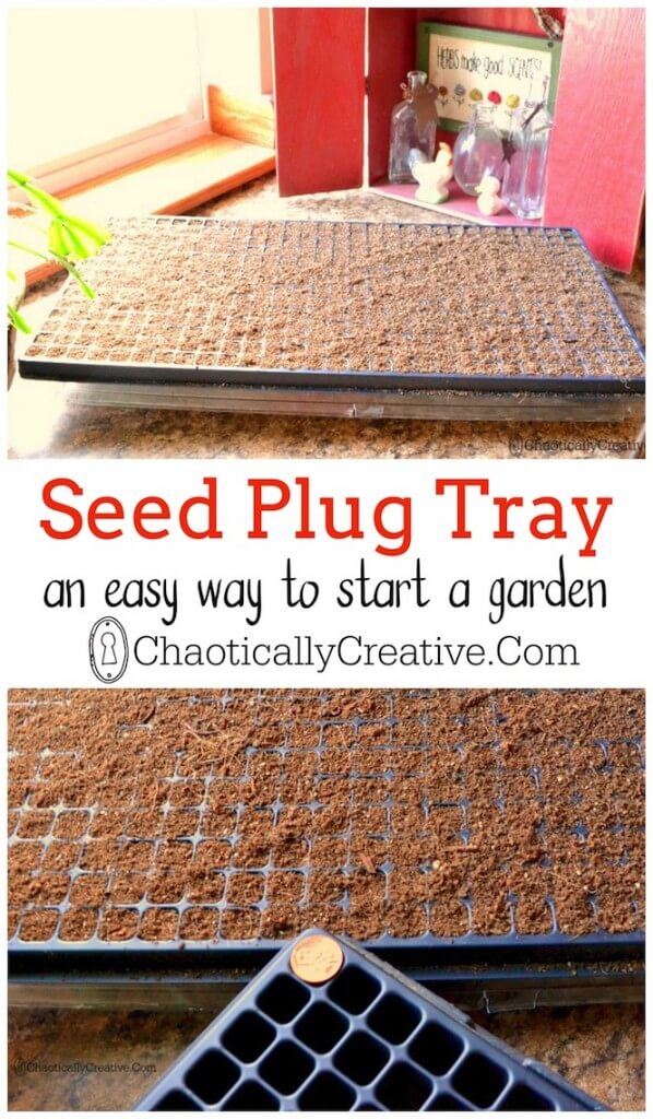 seed plug tray garden starter
