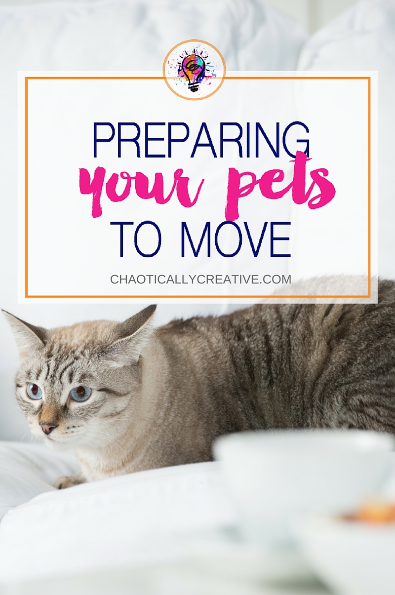 Learn how to prepare your adopted pets for a big move