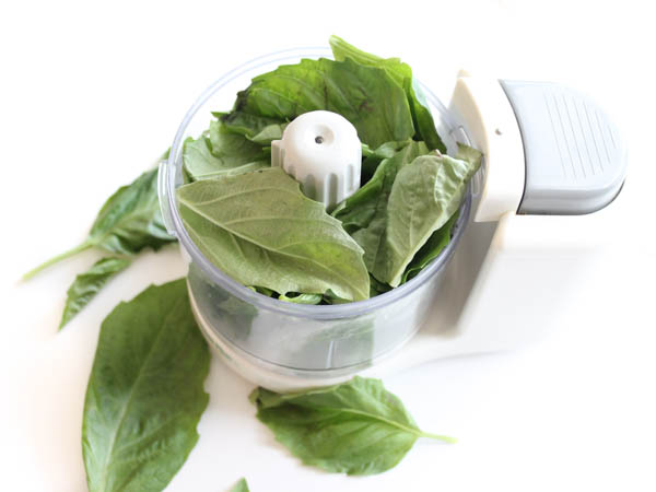 Basil for Caprese Salad Shooters