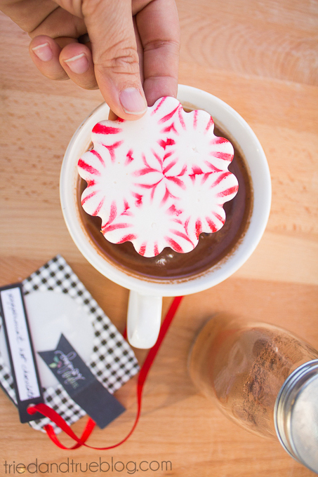 Peppermint Hot Chocolate Gift